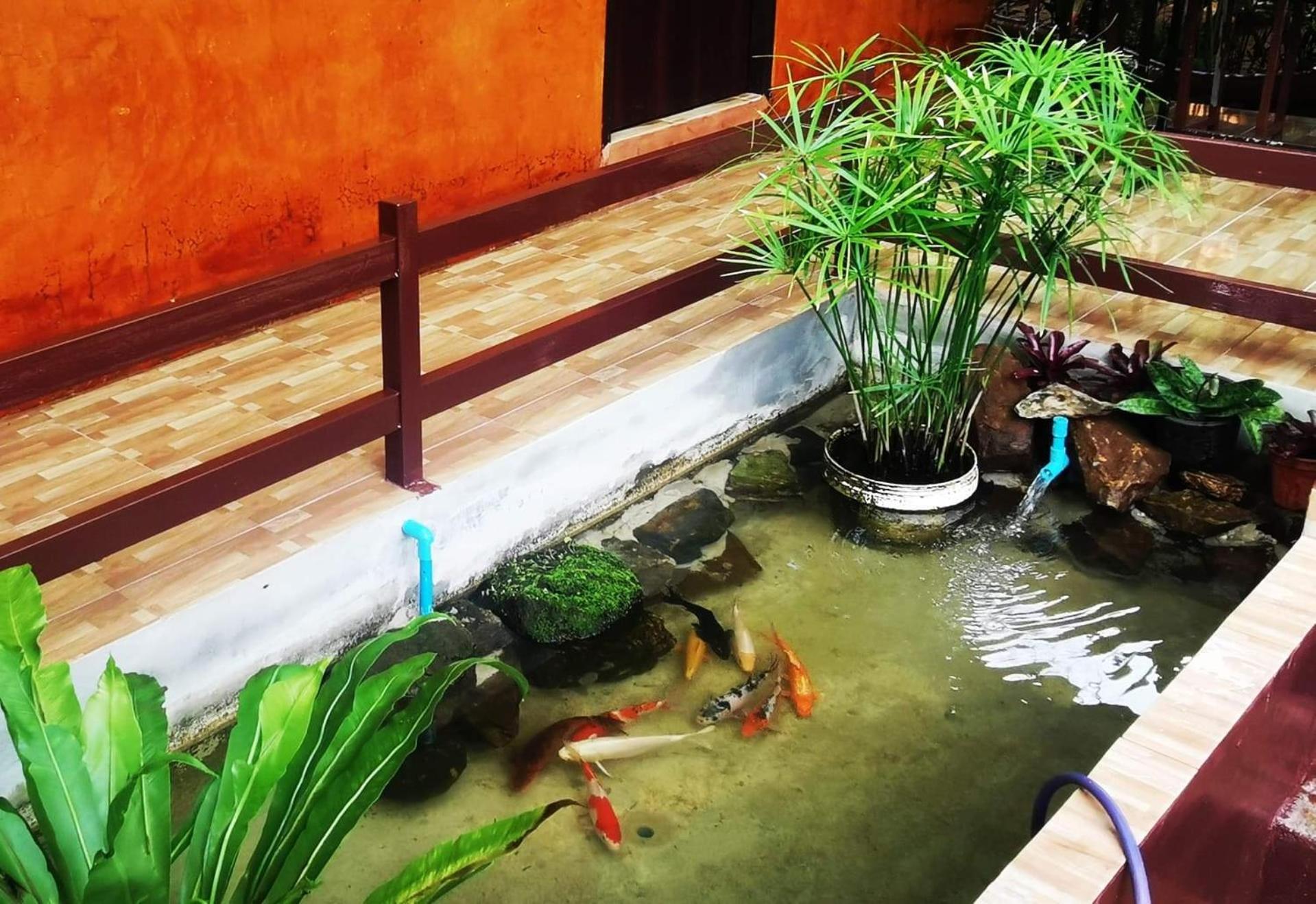 บ้านดินโฮมสเตย์ ปางอุ๋ง Ban Huai Makhuea Som Dış mekan fotoğraf